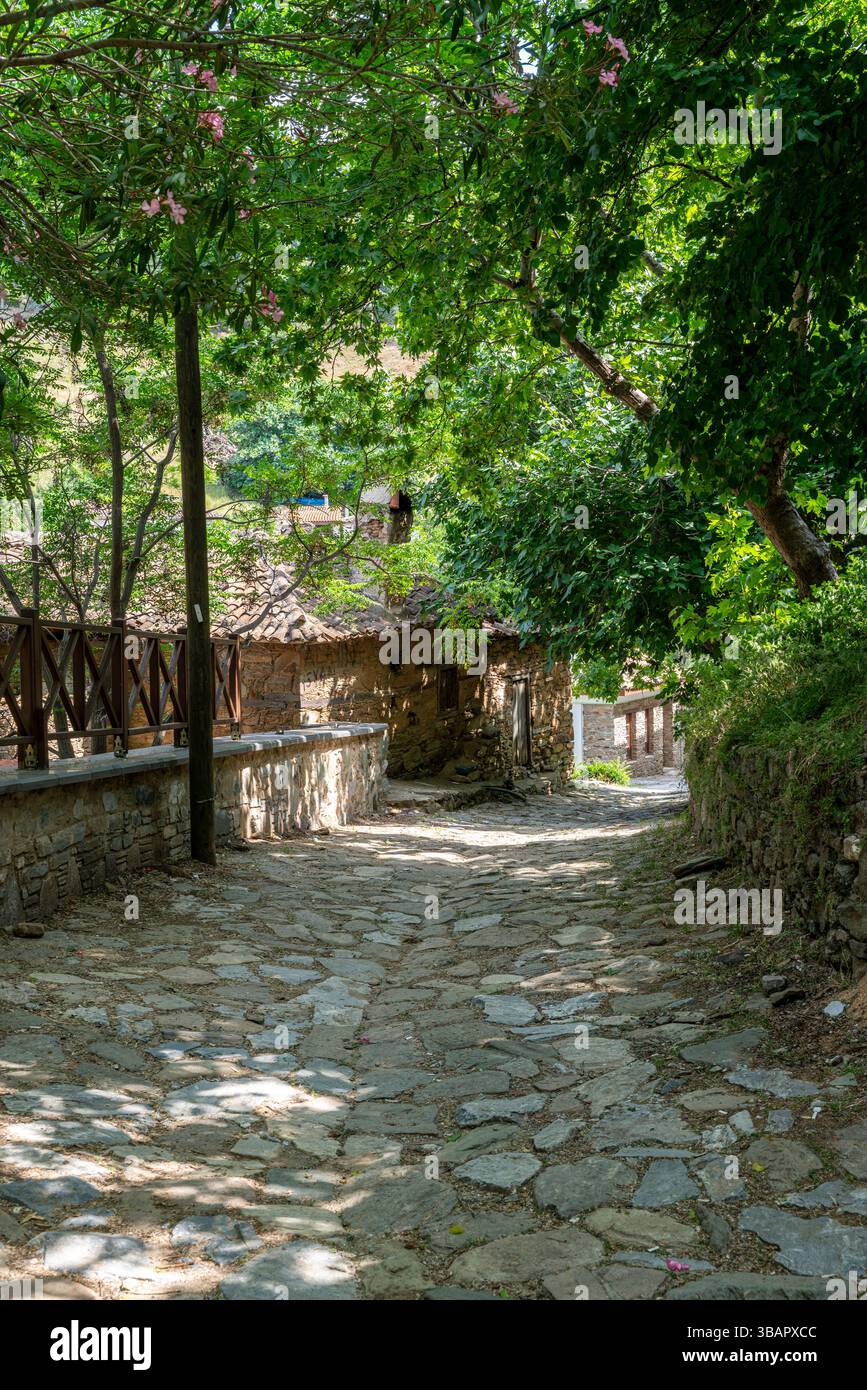 Un chemin pavé ombragé à Sirince serpente entre murs de pierre et arbres verts, menant à une porte en bois rustique, typique de l'ambiance d'un village turc. Banque D'Images