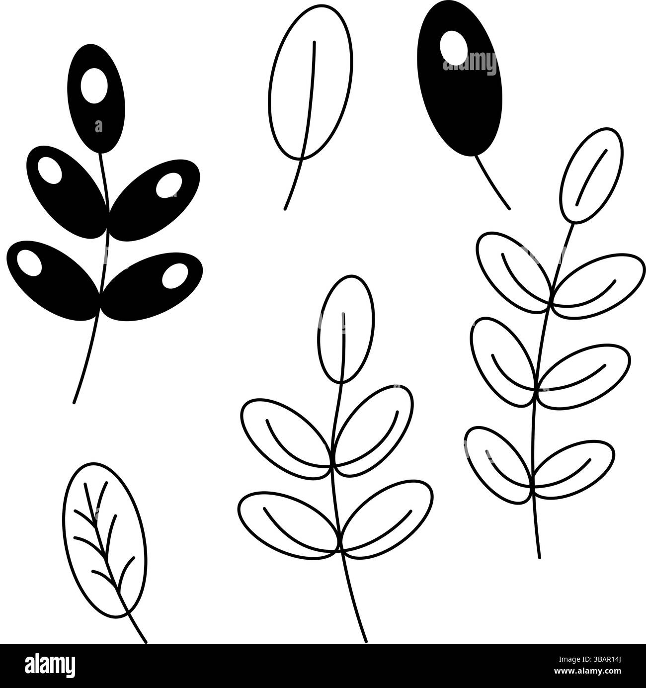 Contour des lames. Feuilles de châtaignier, feuille d'érable, diverses branches avec des feuilles, feuillage. isolé. Illustration de ligne graphique vectorielle. Pour affiche, flyer, banne Illustration de Vecteur