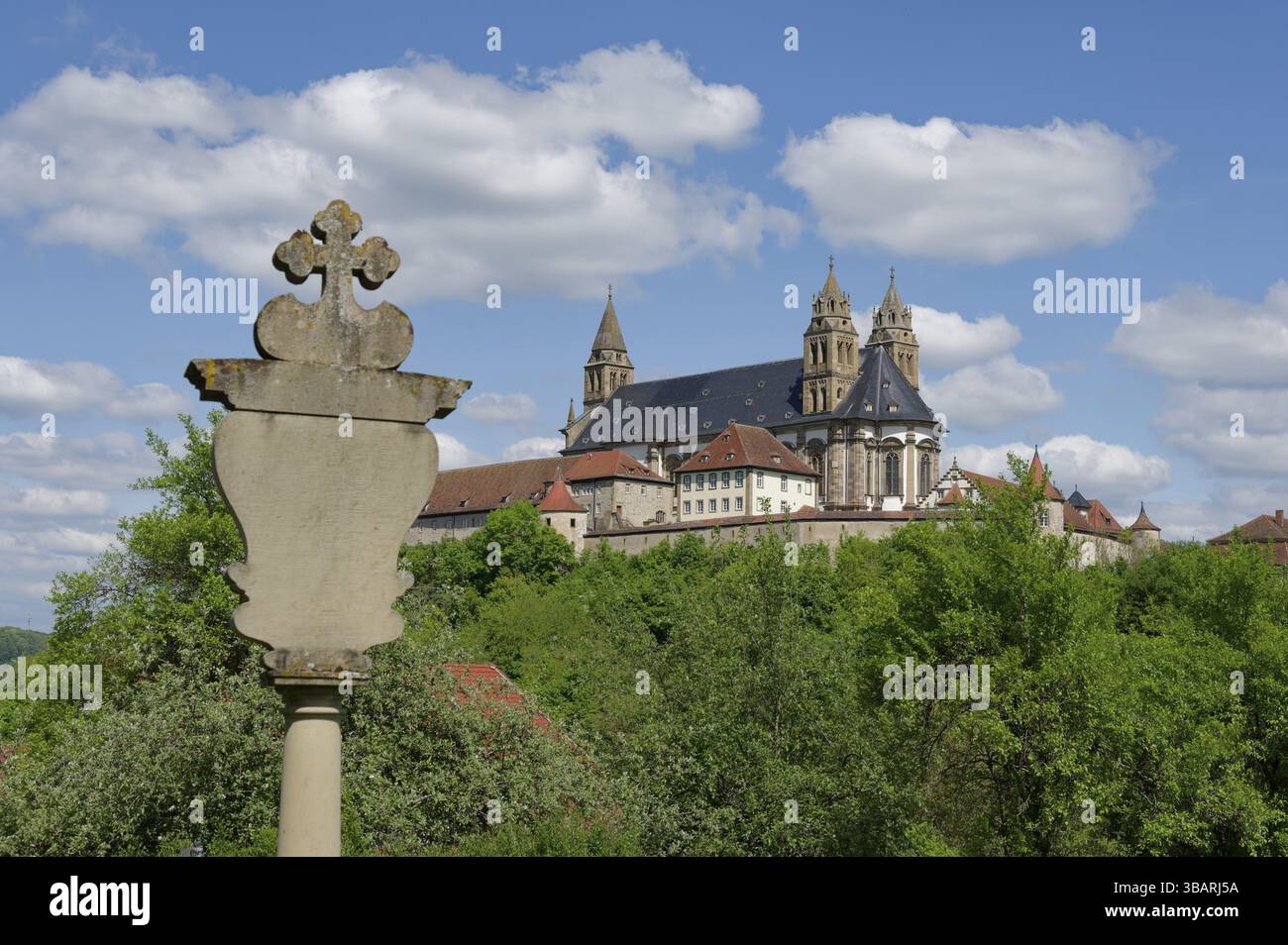 Vue sur la Combourg, monastère bénédictin, chemin de St James, remparts, moyen âge, roman, Renaissance, gothique, mur, église, église collégiale Banque D'Images