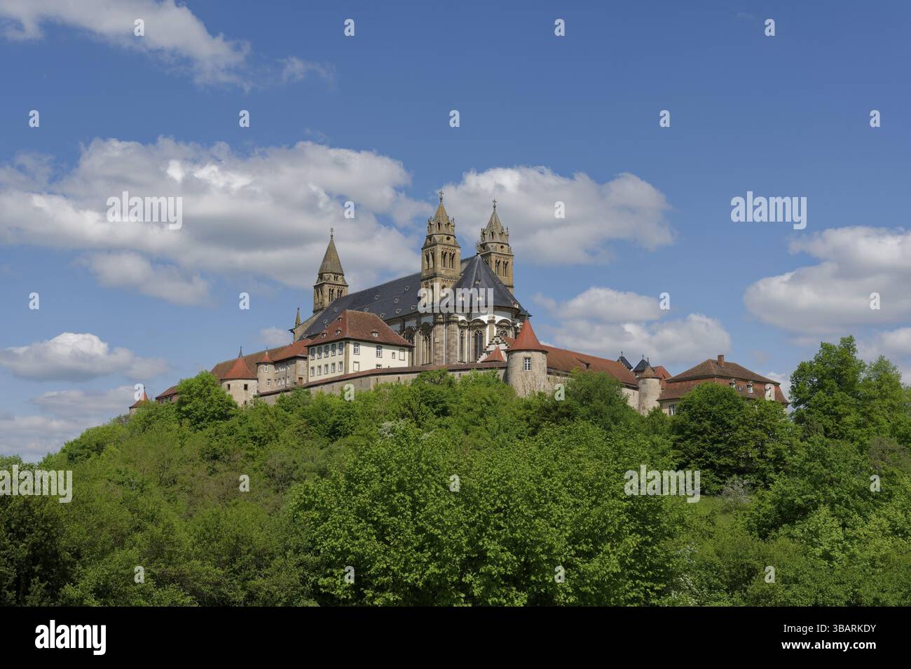 Vue sur la Combourg, monastère bénédictin, chemin de St James, remparts, moyen âge, roman, Renaissance, gothique, mur, église, église collégiale Banque D'Images