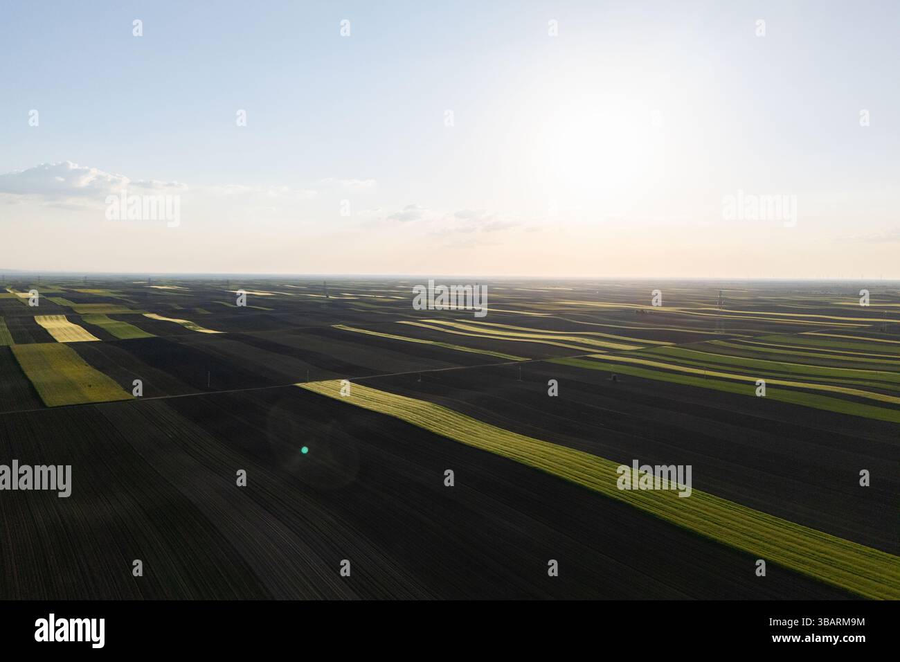 Vue aérienne des terres agricoles. Champs vert et noir Banque D'Images