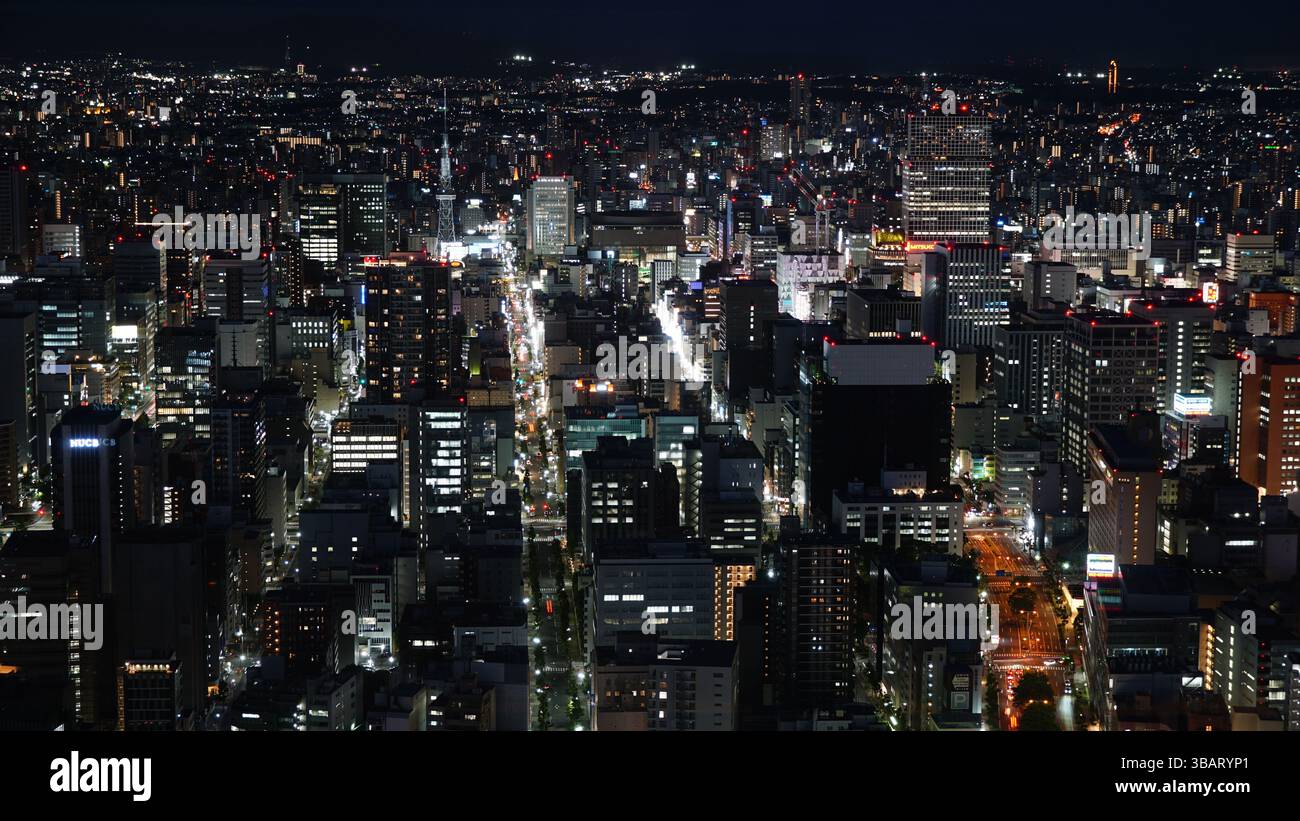 Paysage urbain de Nagoya : le cœur vibrant de la préfecture d’Aichi au Japon Banque D'Images