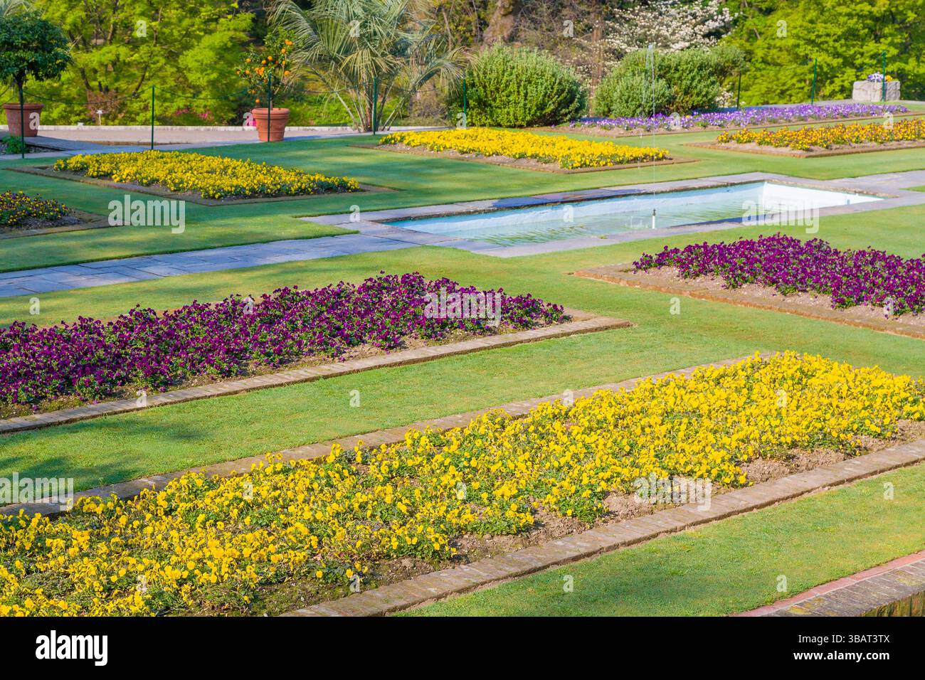 Villa Taranto un célèbre jardin botanique à Pallanza, Verbania, Lac majeur, Italie. Banque D'Images