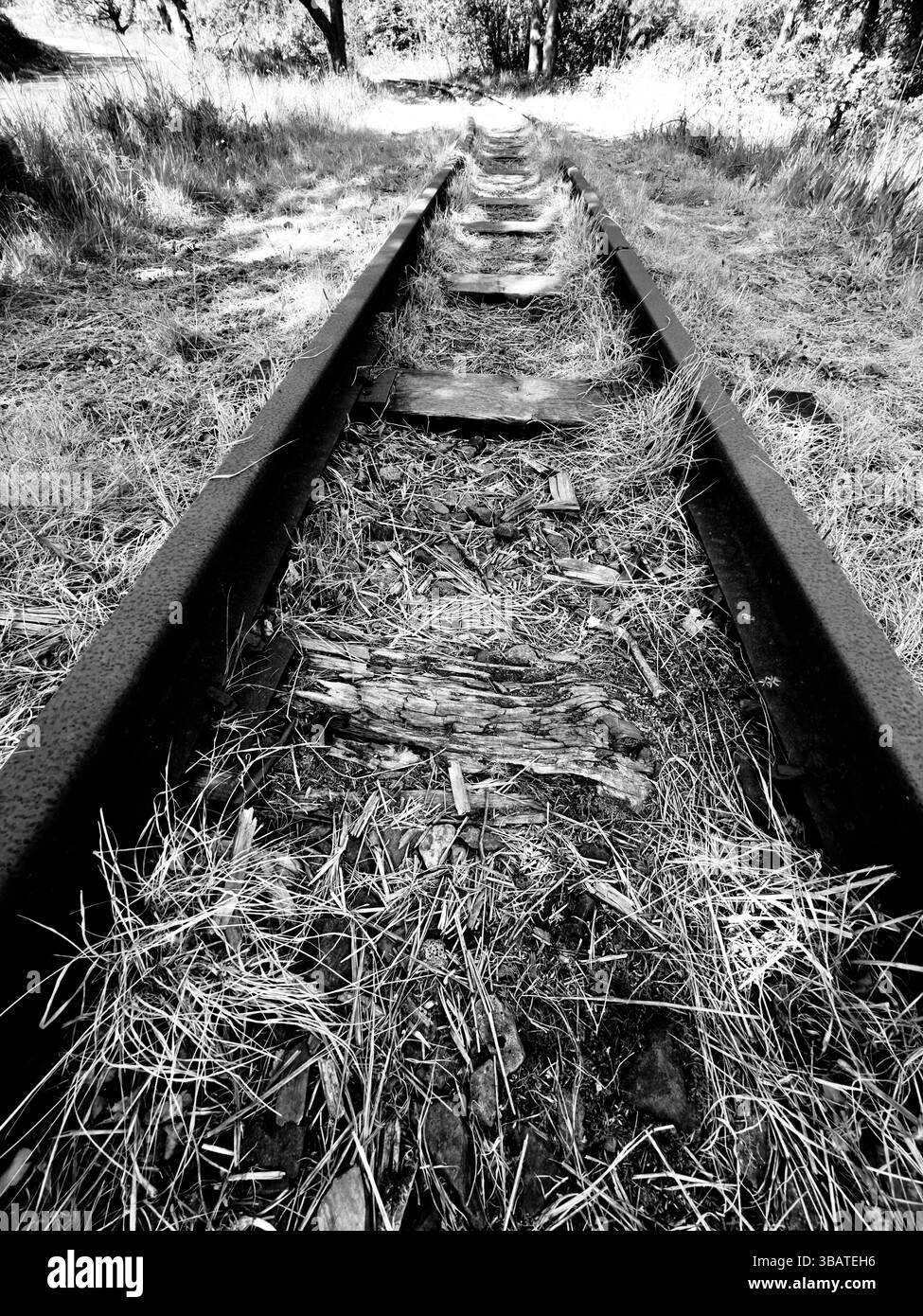 Ligne de chemin de fer désaffectée artistique - Image de stock capturée avec un smartphone
