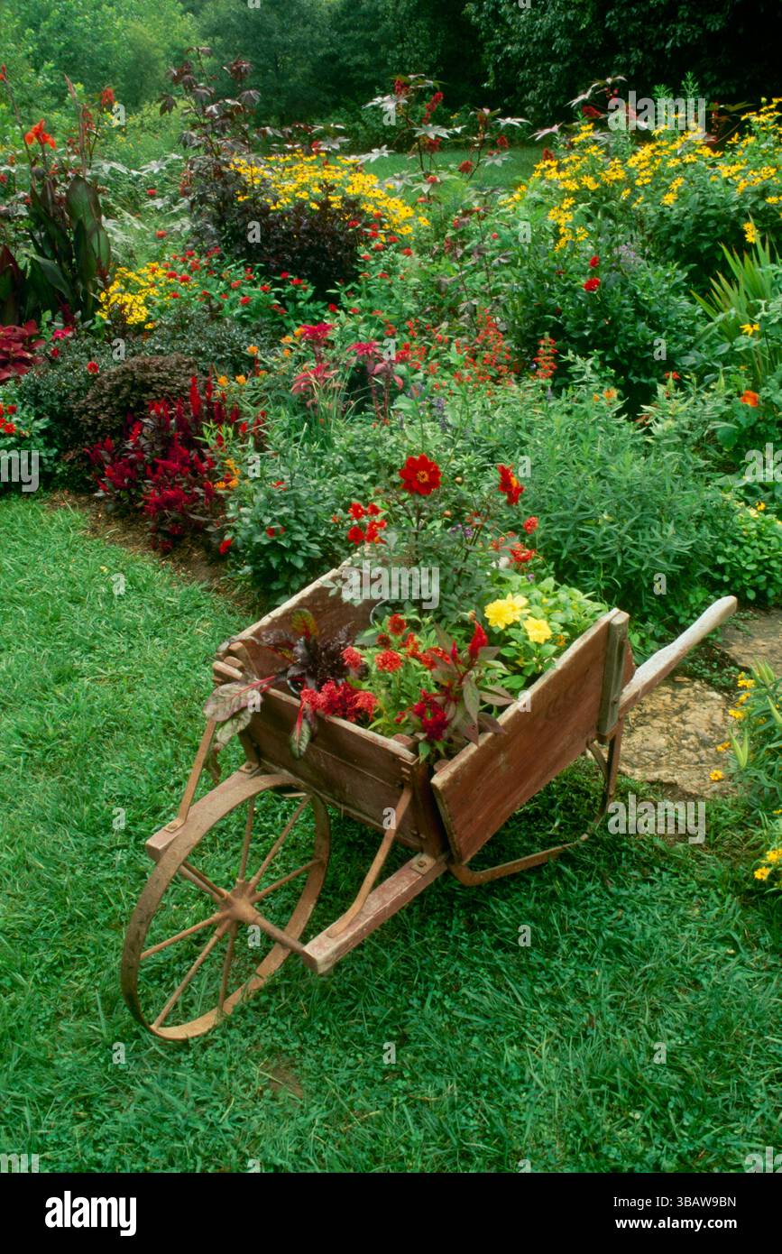 Brouette en bois antique remplie de fleurs dans le jardin, Missouri, États-Unis Banque D'Images