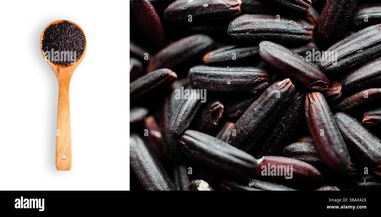 Une cuillerée de riz noir sur fond blanc et un gros plan de grains de riz noir sur un format rectangulaire Banque D'Images