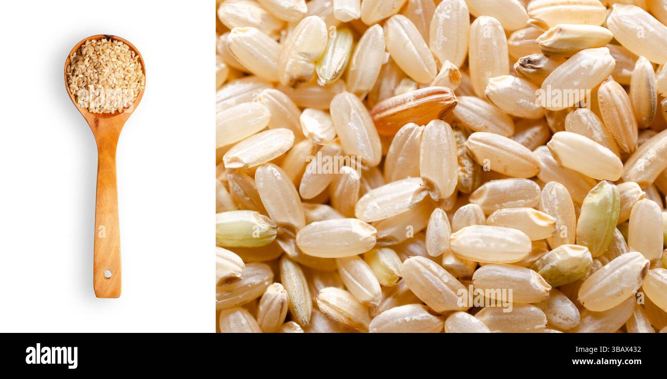Une cuillerée de riz Yamani sur fond blanc et un gros plan de grains de riz yamani sur un format rectangulaire. Banque D'Images