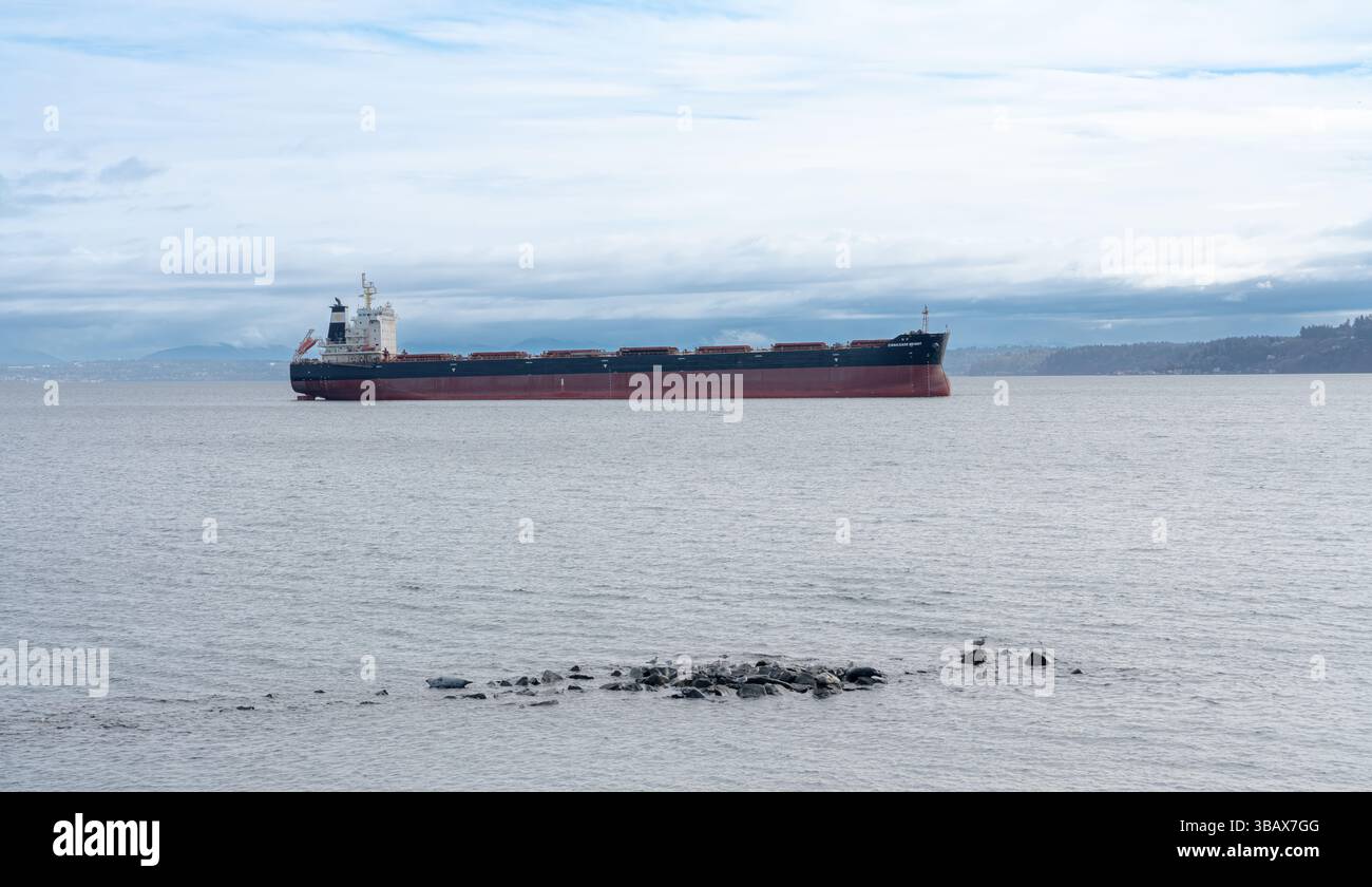 Un grand cargo repose calmement dans commencement Bay près de Tacoma, Washington, sous un ciel couvert. Banque D'Images
