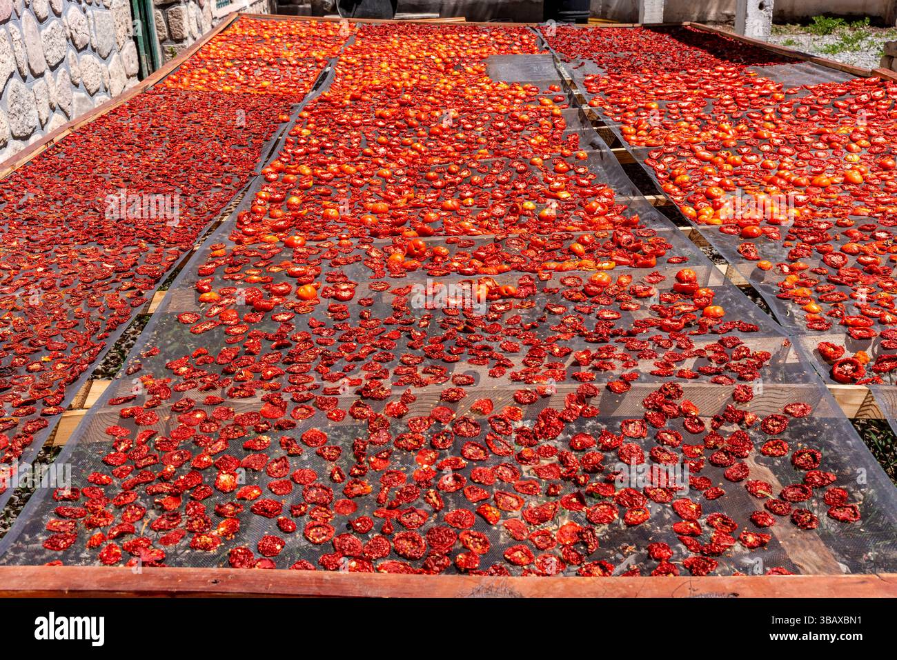 Tomates séchant au soleil, Cachi, province de Salta, Argentine. Banque D'Images