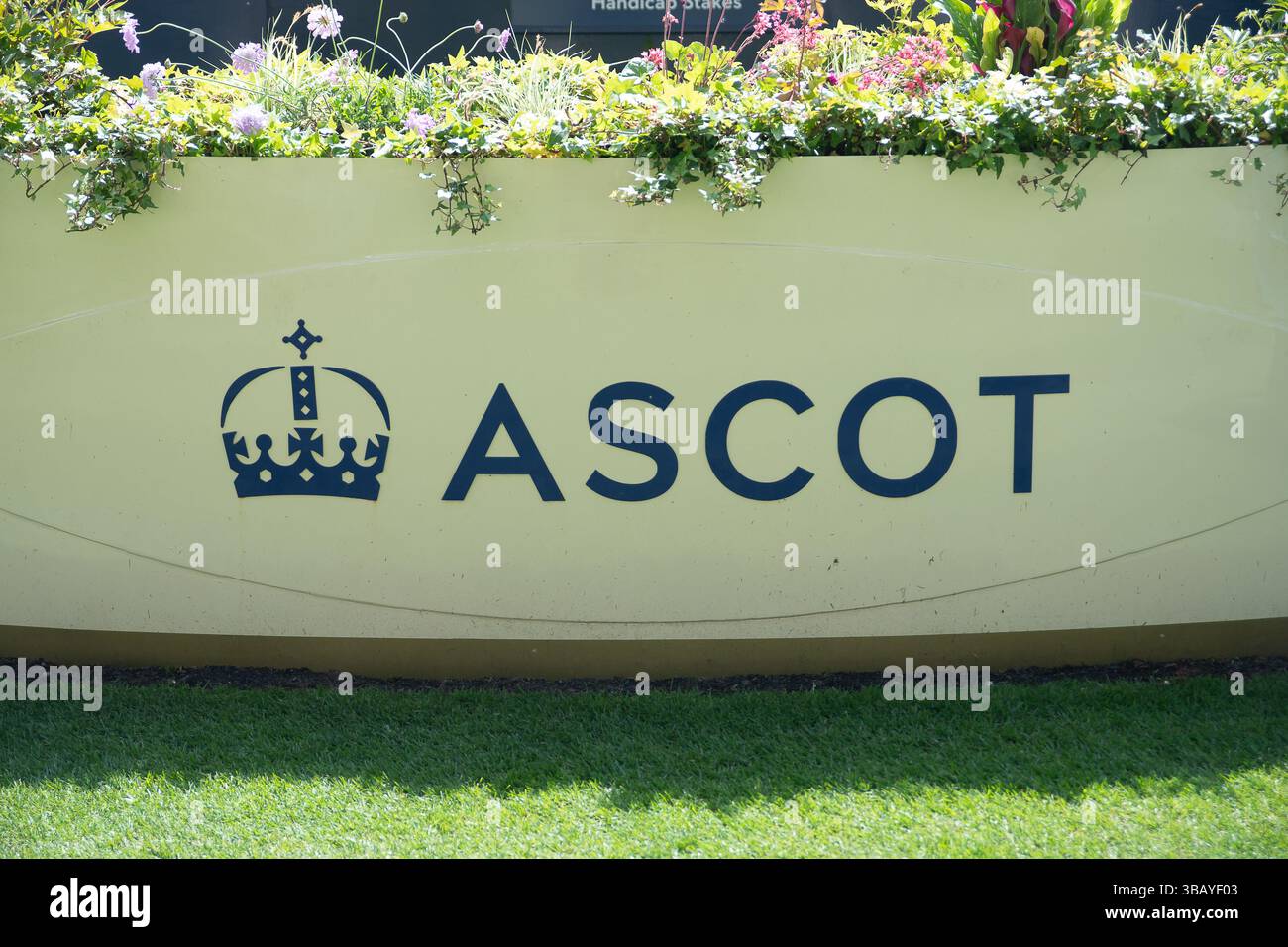 Ascot, Royaume-Uni. 9 mai 2025. Hippodrome d'Ascot à Ascot, Berkshire. Crédit : Maureen McLean/Alamy Banque D'Images