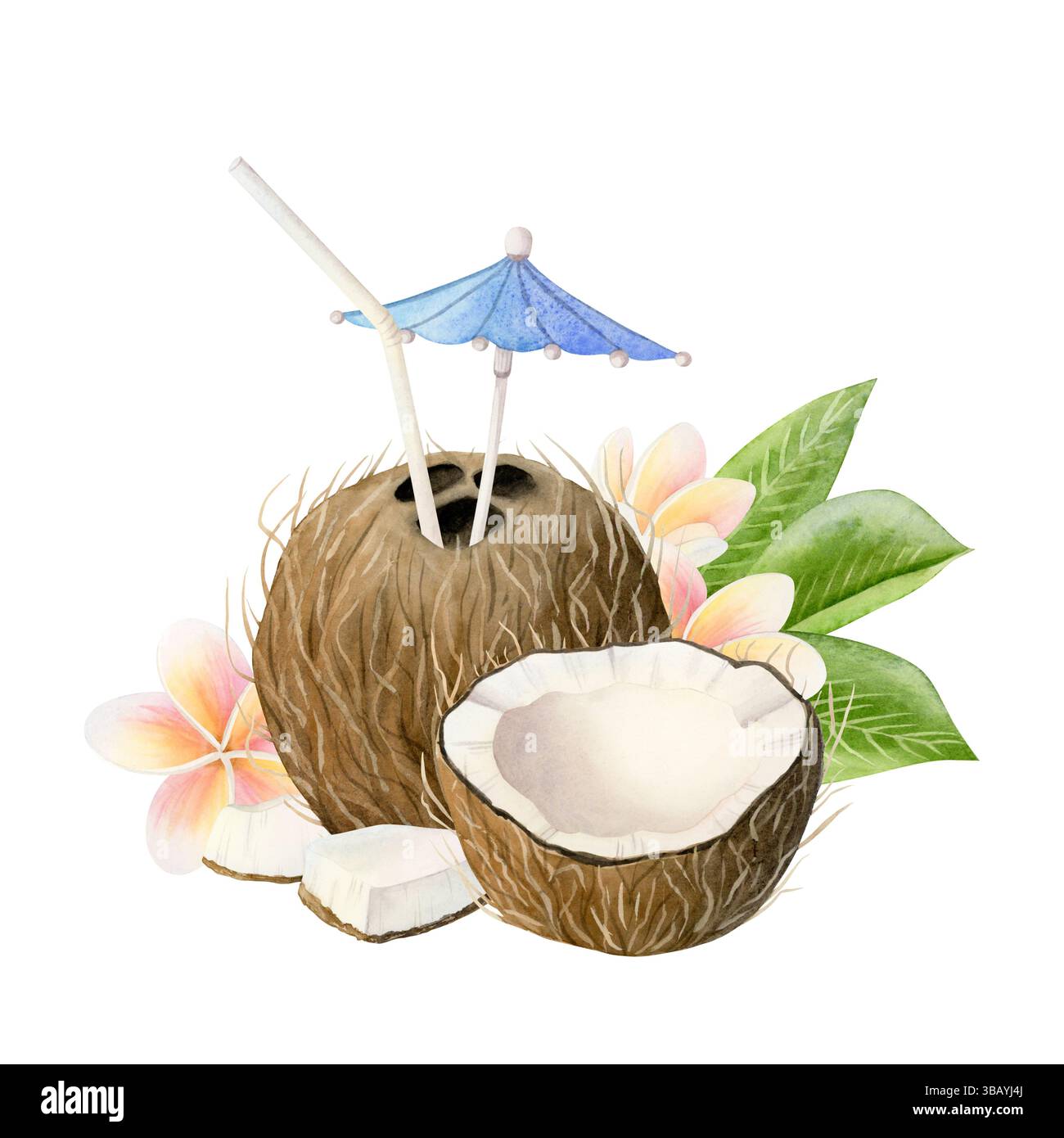 Cocktail de noix de coco d'été avec fleurs tropicales paille et illustration aquarelle parapluie isolé sur un blanc. Boisson saine avec pince de fruits tranchés Banque D'Images