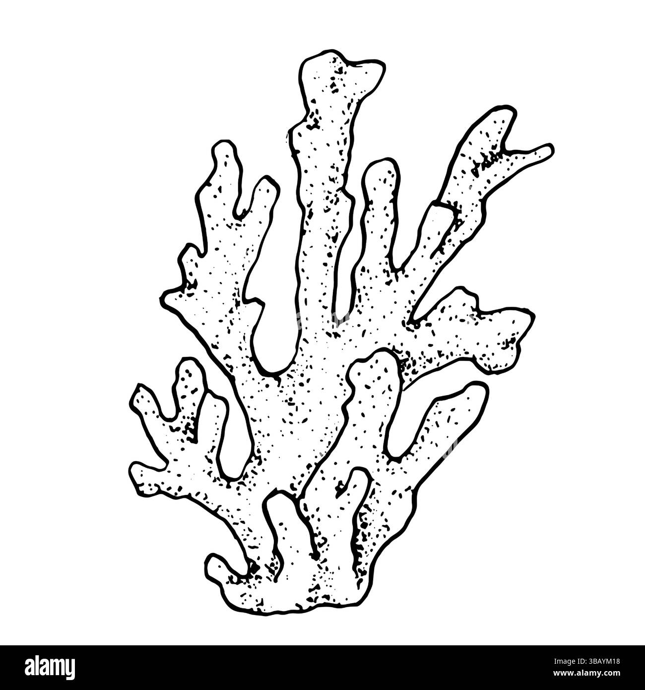Brindilles de corail, un élément du monde sous-marin et des récifs, dessin à l'encre noire et blanche. Illustration vectorielle. Coraux océaniques naturels et algues, isolez Illustration de Vecteur