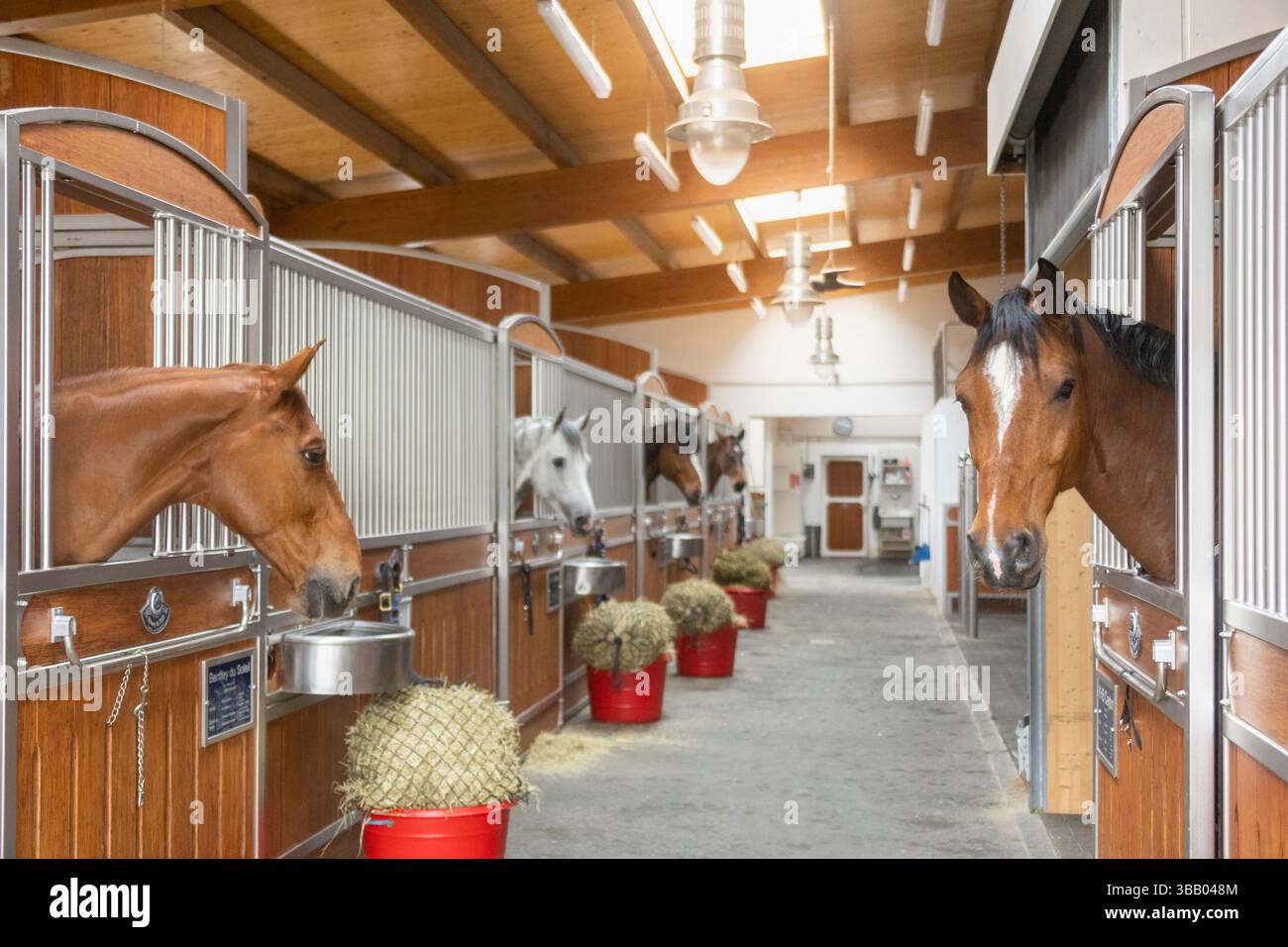 Lane stable. Allemagne Banque D'Images