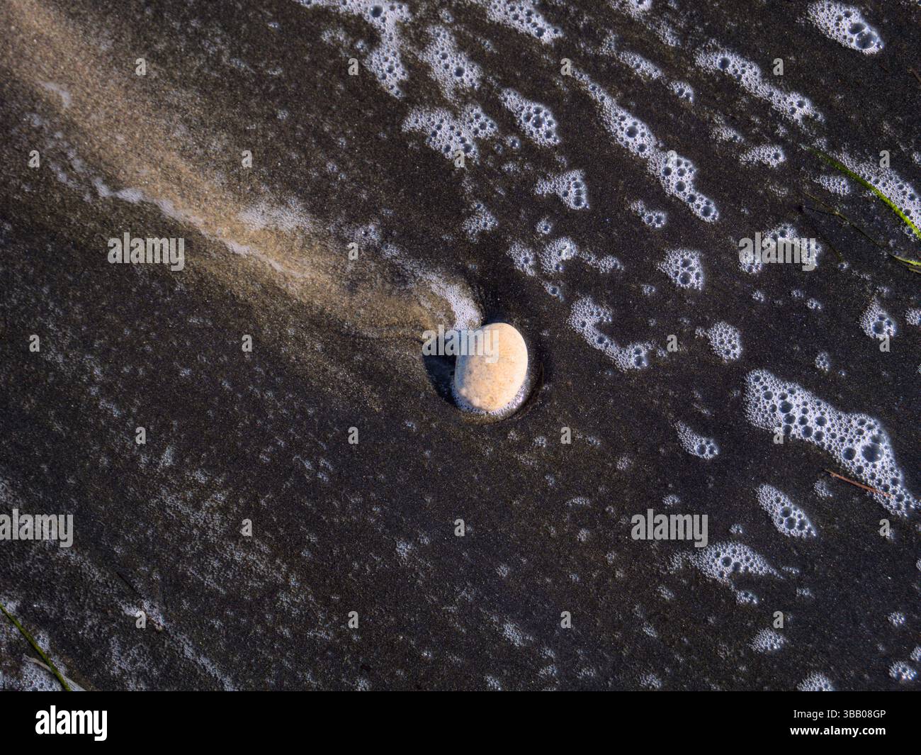 Galet lisse sur la plage de sable noir avec de douces bulles de fruits de mer, Burgas, Bulgarie Banque D'Images