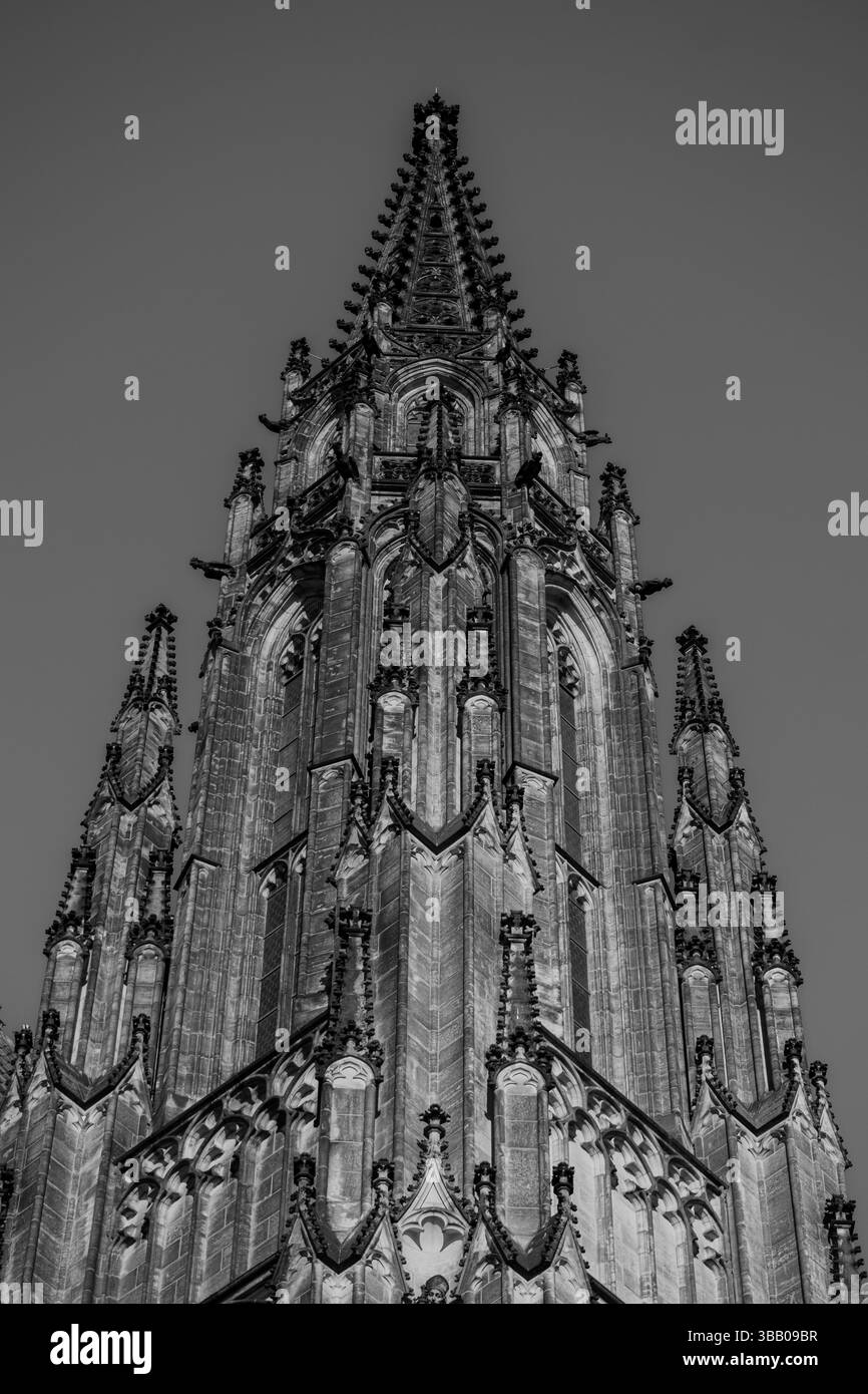 CATHÉDRALE ST.VITUS, PRAGUE, RÉPUBLIQUE TCHÈQUE Banque D'Images