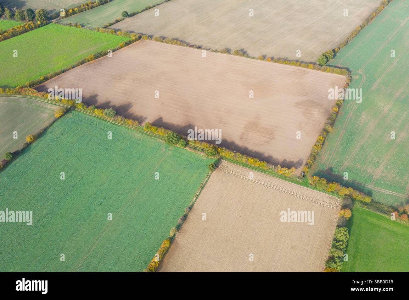 Vue aérienne du paysage agricole avec des champs, des prairies et des haies, Schleswig-Holstein, Allemagne. Banque D'Images