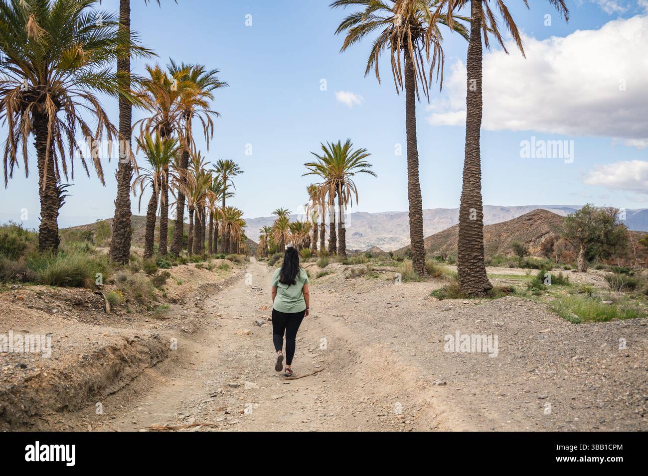 Femme marchant le long d'un chemin de terre bordée de grands palmiers dans le désert de Tabernas, Almeria, avec un terrain sec et des montagnes lointaines Banque D'Images