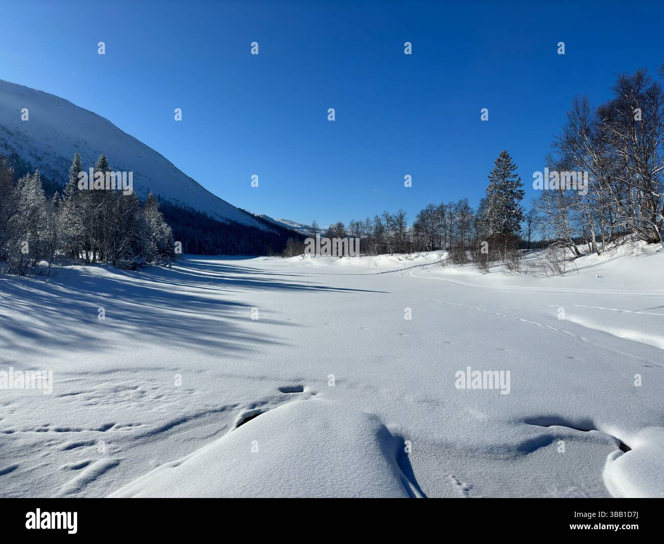 Paysage d'hiver avec une vallée enneigée avec des montagnes et des arbres luxuriants au loin dans le nord de la Suède. Banque D'Images