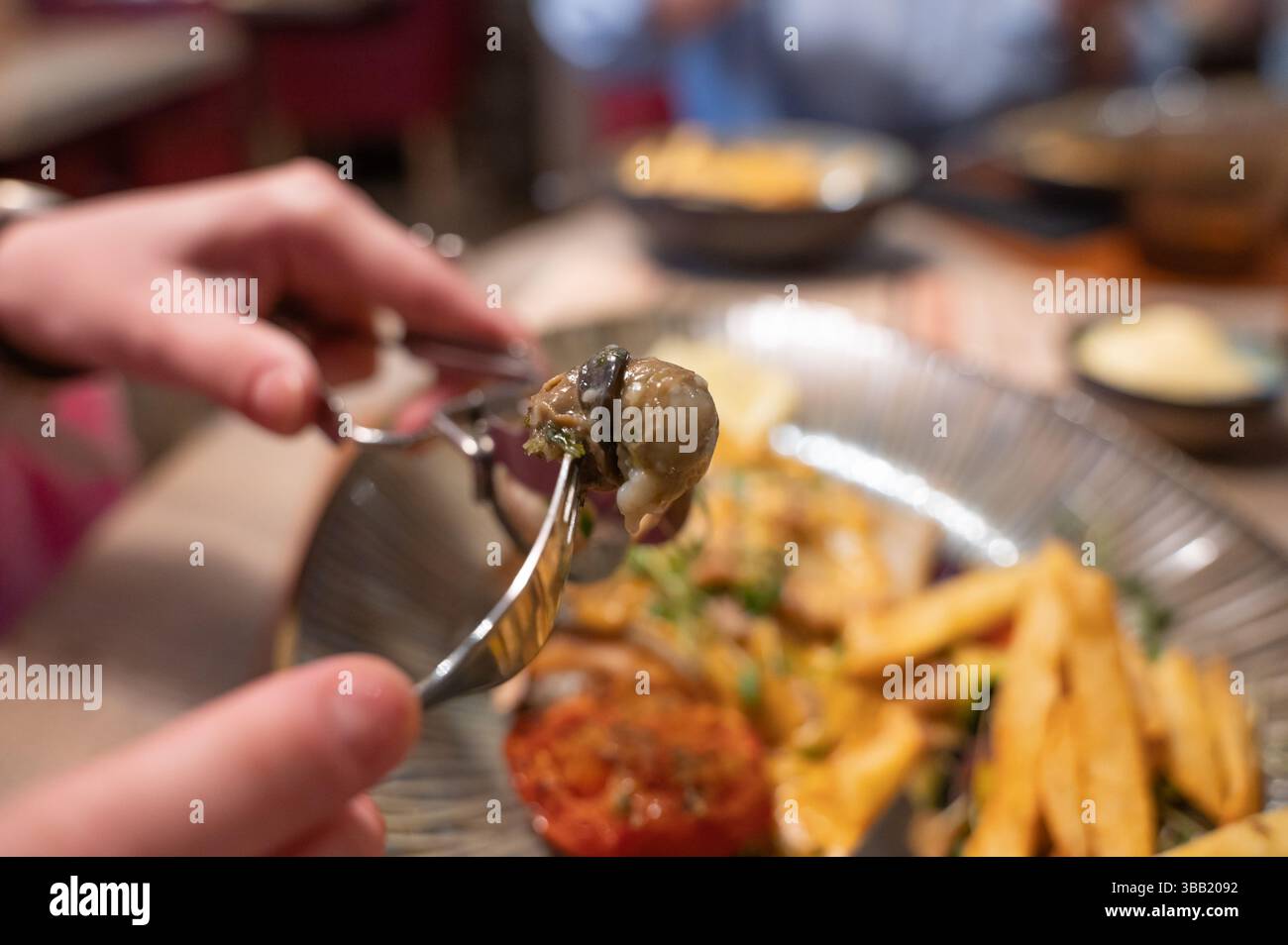 Un individu tient une fourchette au-dessus d'une délicieuse assiette remplie de différents types de nourriture, prêt à profiter d'un repas copieux Banque D'Images