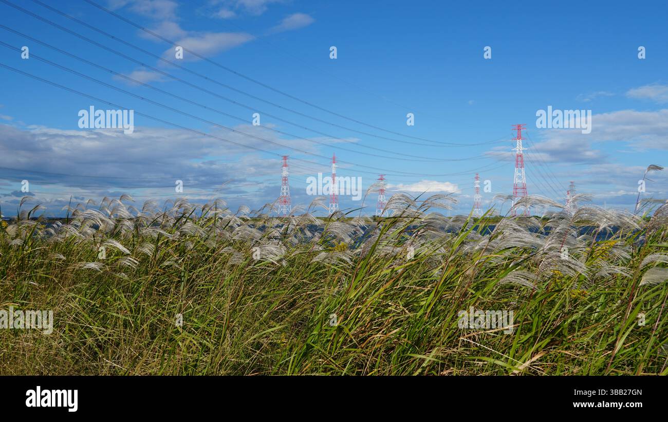 Tour de transmission électrique le long de la rivière Kiso, Mie, Japon Banque D'Images