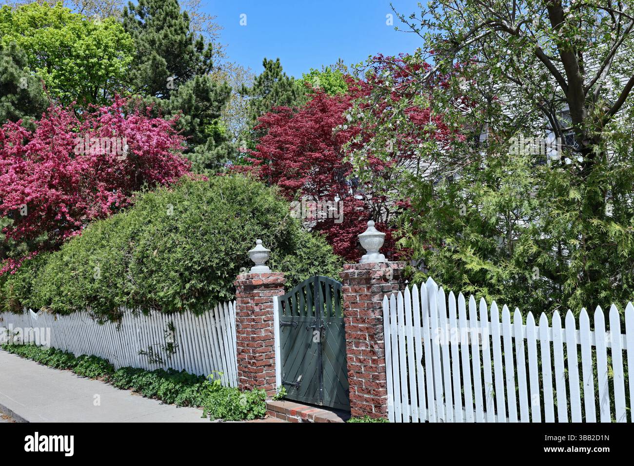 clôture de piquet blanche avec porte autour d'un jardin luxuriant Banque D'Images