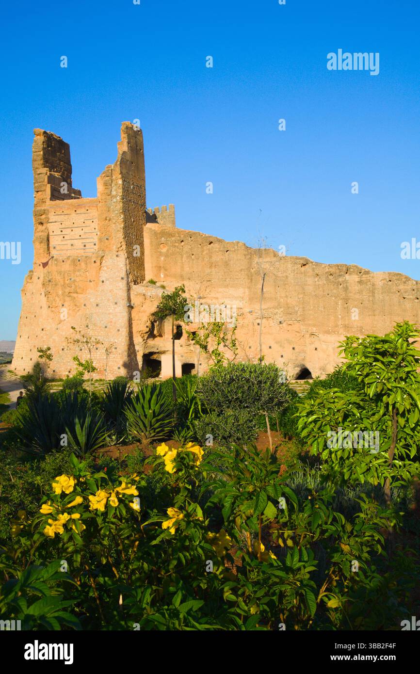 Maroc, Fès, Tombeaux mérinides, monument historique, Banque D'Images