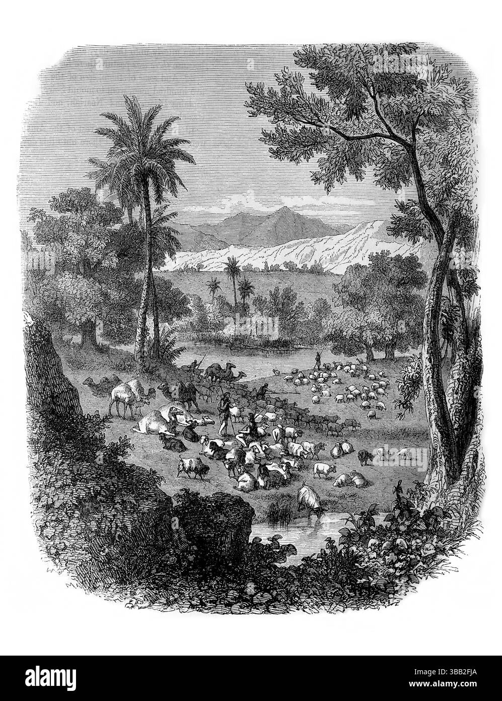 Illustration des troupeaux et des troupeaux des Siméonites dans la vallée du gedor (chroniques) de l'Antiquité 19ème siècle la Sainte Bible contenant l'ancien Banque D'Images