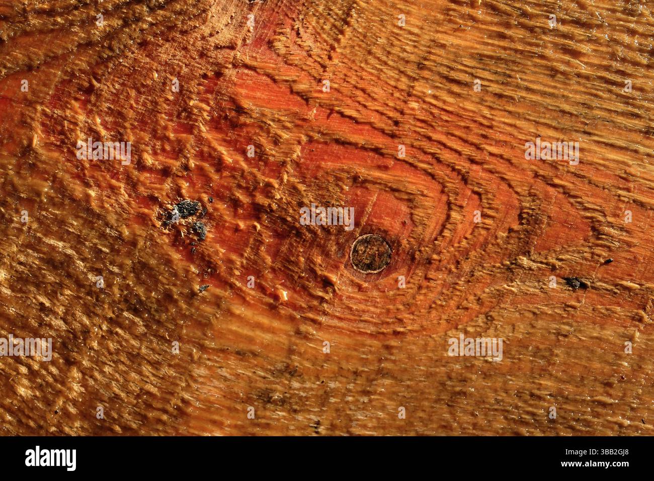 Fond en bois pour la conception. Surface en bois humide de couleur chaude, brun rougeâtre avec texture naturelle. La planche de pin a des nœuds visibles. Banque D'Images