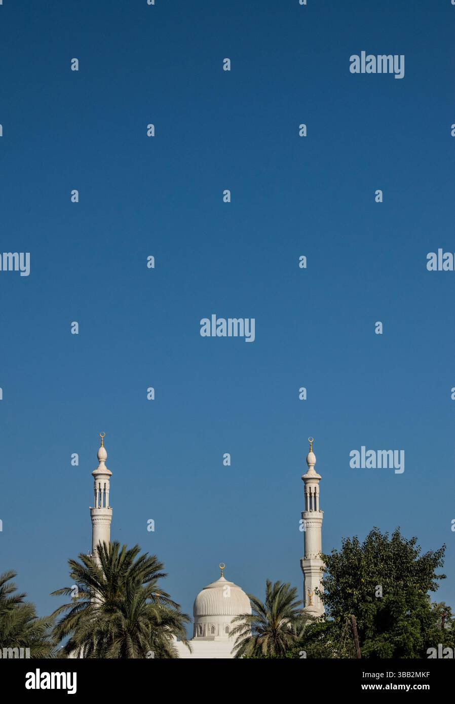 Vue des Émirats arabes Unis de la mosquée Saeed bin Hamad Al Qasimi, mosquée blanche dans la ville de Fujairah, la septième plus grande ville des Émirats arabes Unis sur le golfe d'Oman Banque D'Images