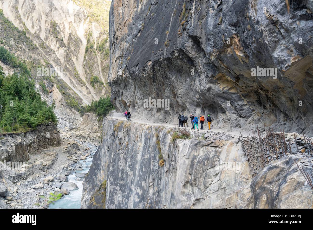 Les randonneurs marchent le long d'un sentier spectaculaire à flanc de falaise entre Chame et Upper Pisang sur le circuit de l'Annapurna, au Népal, avec des parois rocheuses verticales et un canyon profond Banque D'Images