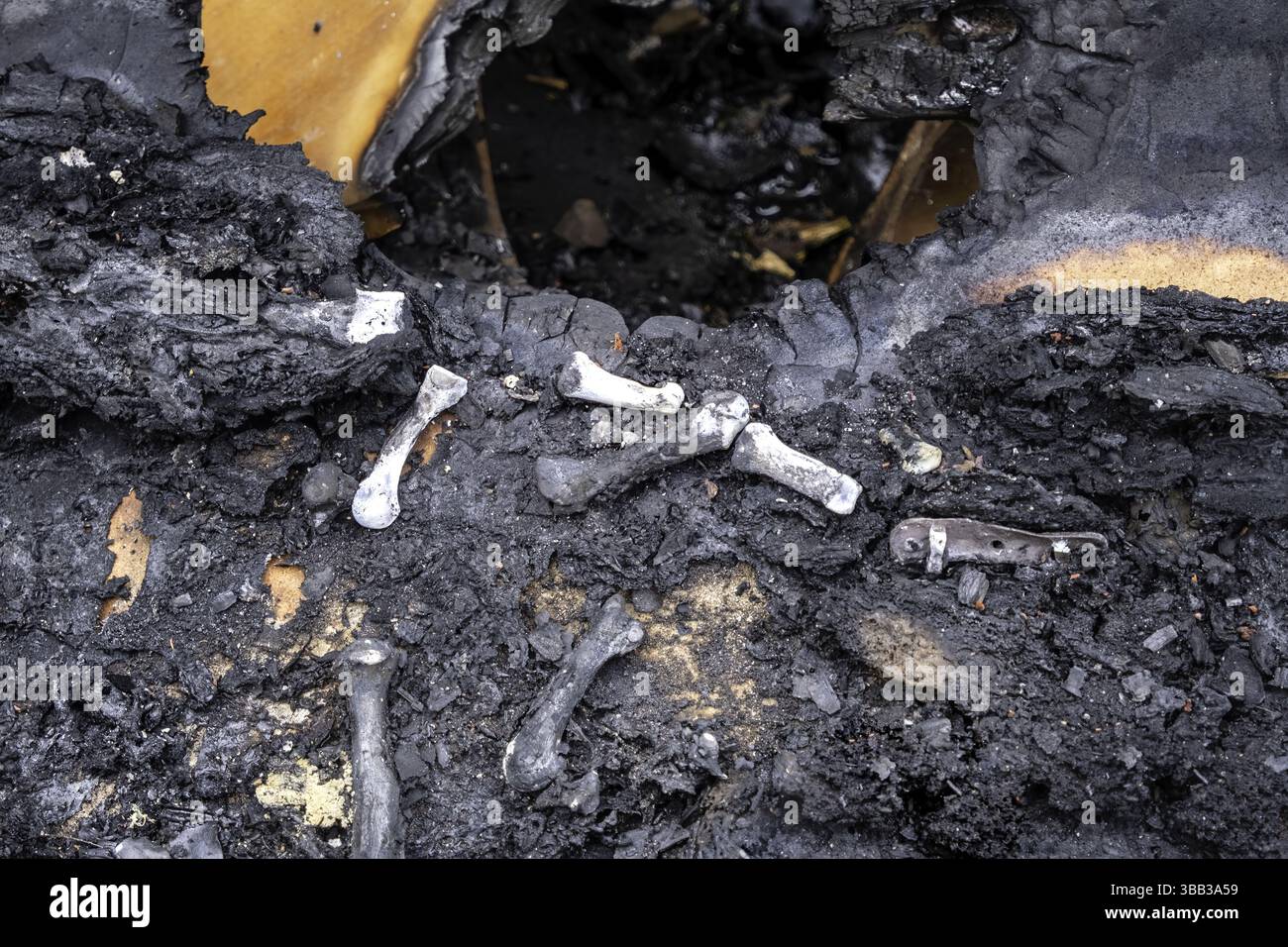 Détail de l'ancien crématorium avec des restes d'os humains, cimetière Banque D'Images