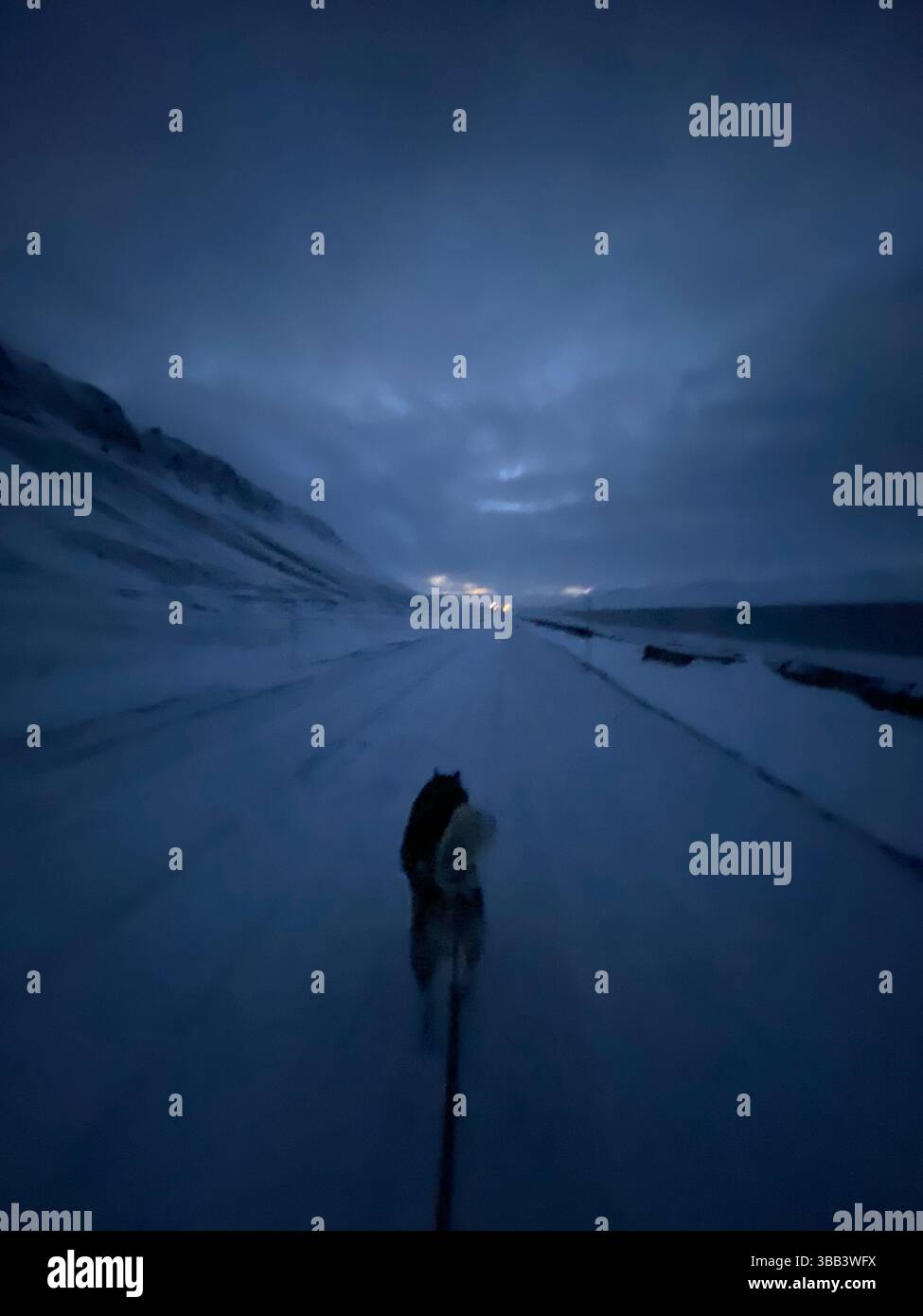 Chiens de traîneau courant dans l'obscurité pendant la nuit polaire sur la route enneigée, Svalbard Banque D'Images