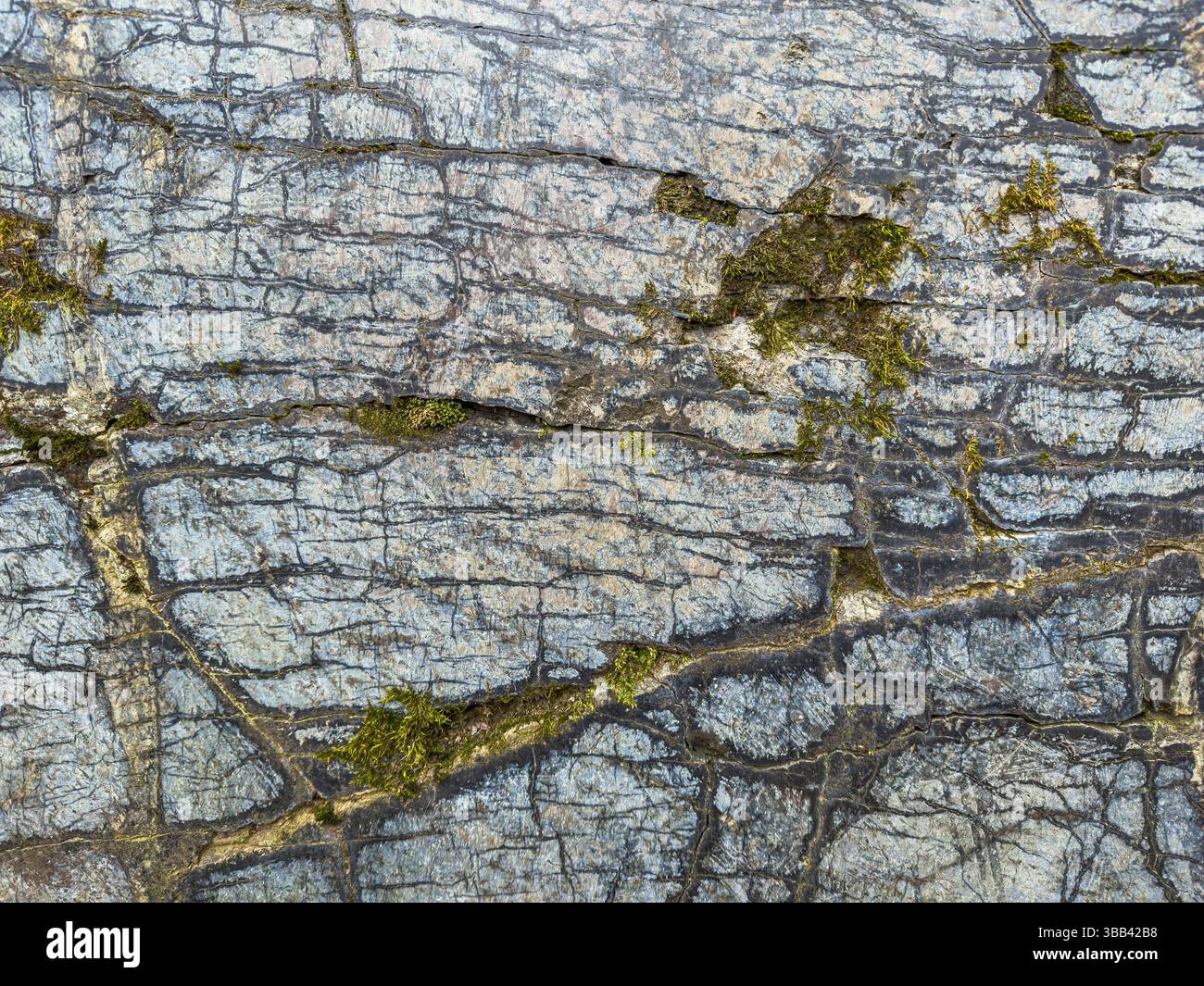 Surface rocheuse irrégulière avec des taches de mousse visibles et des fissures profondes. Banque D'Images