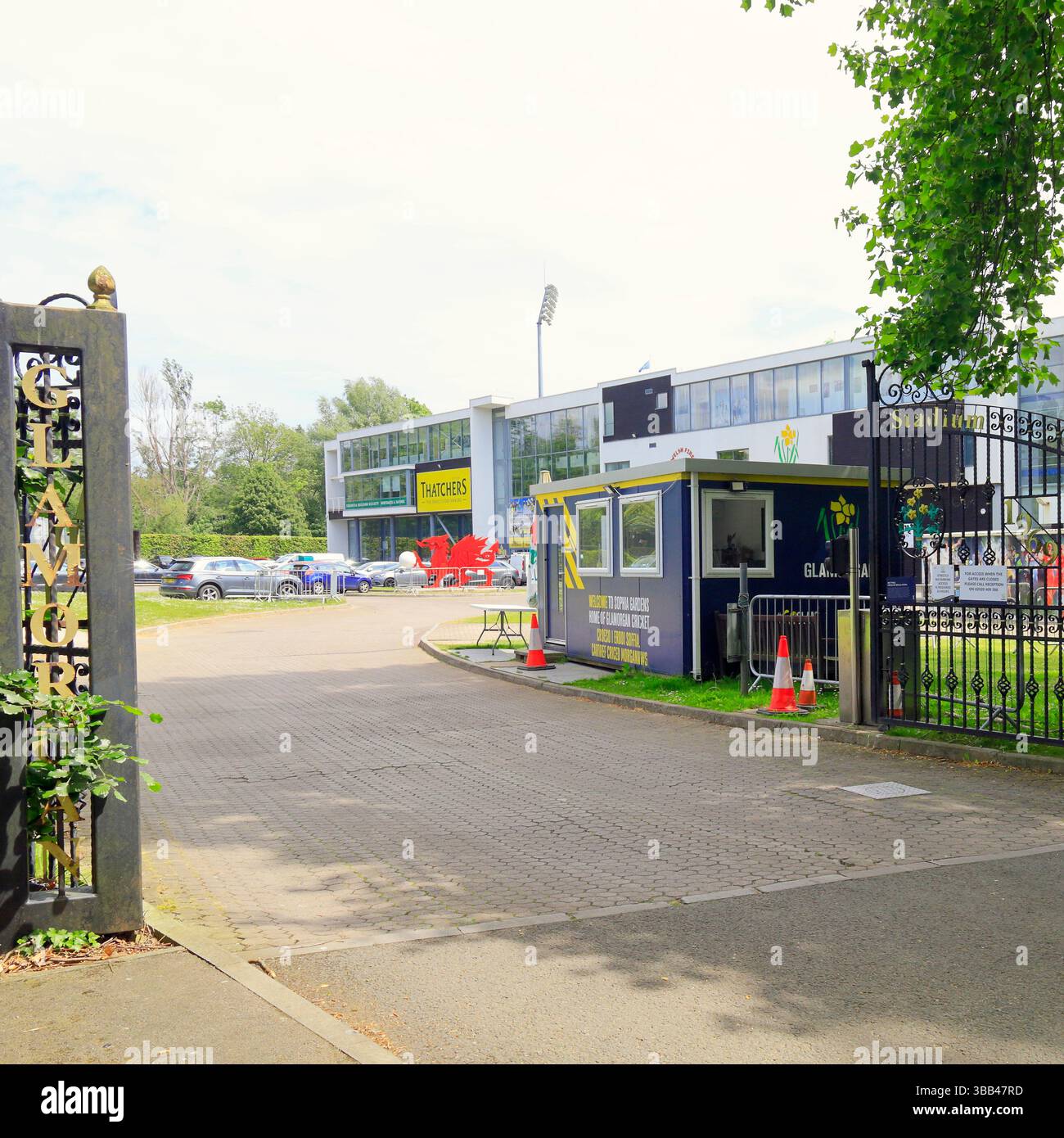 Glamorgan Cricket Ground, Sophia Gardens, Cardiff, Galles du Sud, Royaume-Uni, ROYAUME-UNI. Prise mai 2025 au printemps Banque D'Images