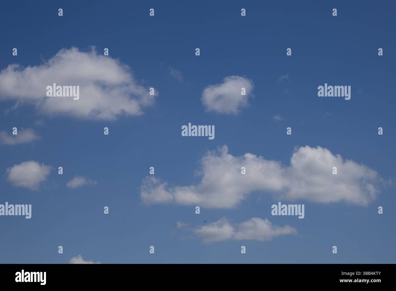 Ciel bleu avec des nuages blancs de Cumulus un jour ensoleillé Banque D'Images