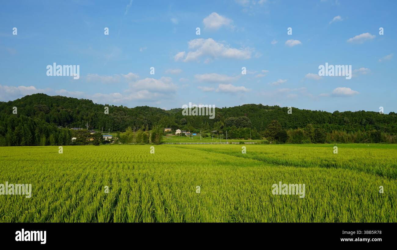 Inuyama - ville historique du château et charme pittoresque au Japon Banque D'Images