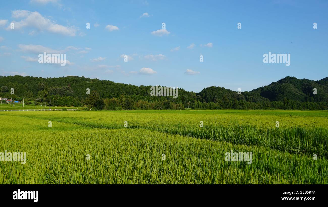 Inuyama - ville historique du château et charme pittoresque au Japon Banque D'Images