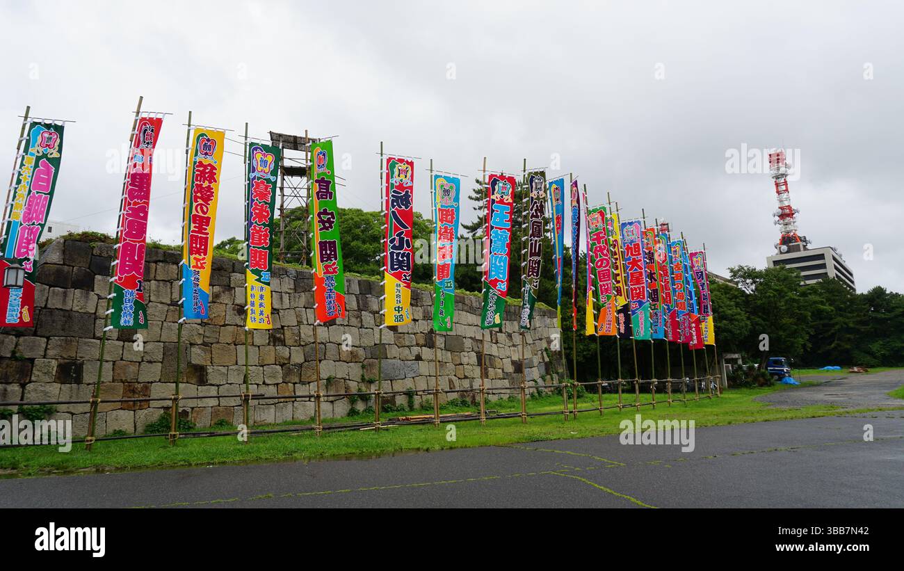Château de Nagoya Palais Honmaru – architecture traditionnelle japonaise et histoire Banque D'Images