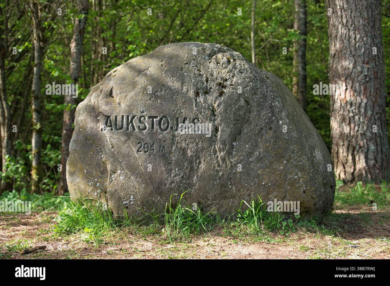 Aukstojas - le plus haut sommet montagneux de Lituanie Banque D'Images