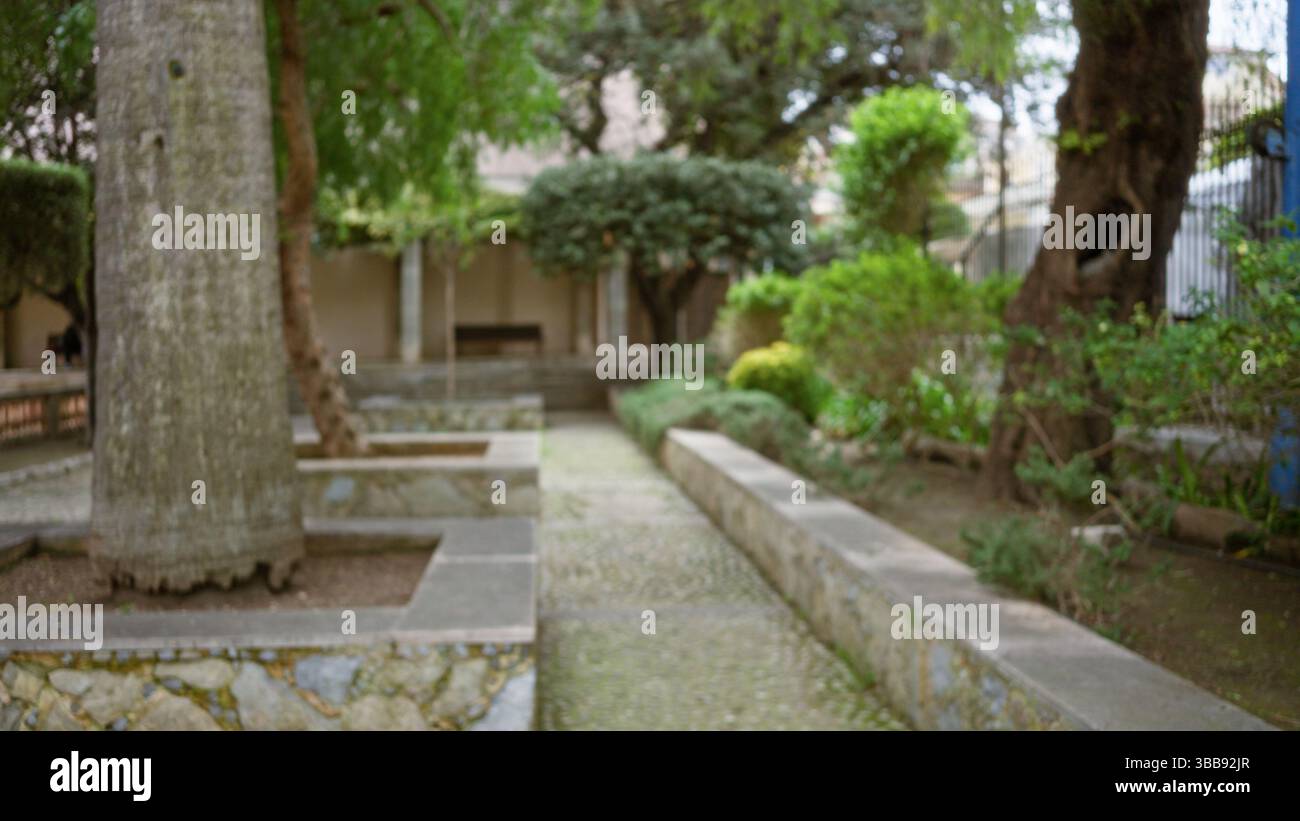 Scène de jardin avec une atmosphère méditerranéenne avec des arbres flous et de la verdure, créant un effet bokeh dans un ancien cadre de chemin de pierre, présentation Banque D'Images