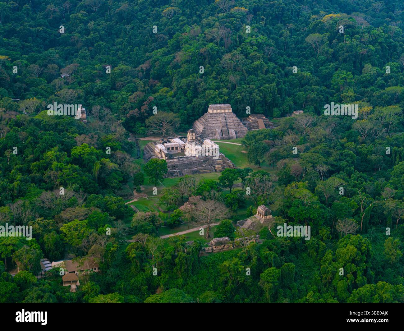 Plan aérien large des ruines mayas de Palenque, au Mexique, entourées de jungle Banque D'Images