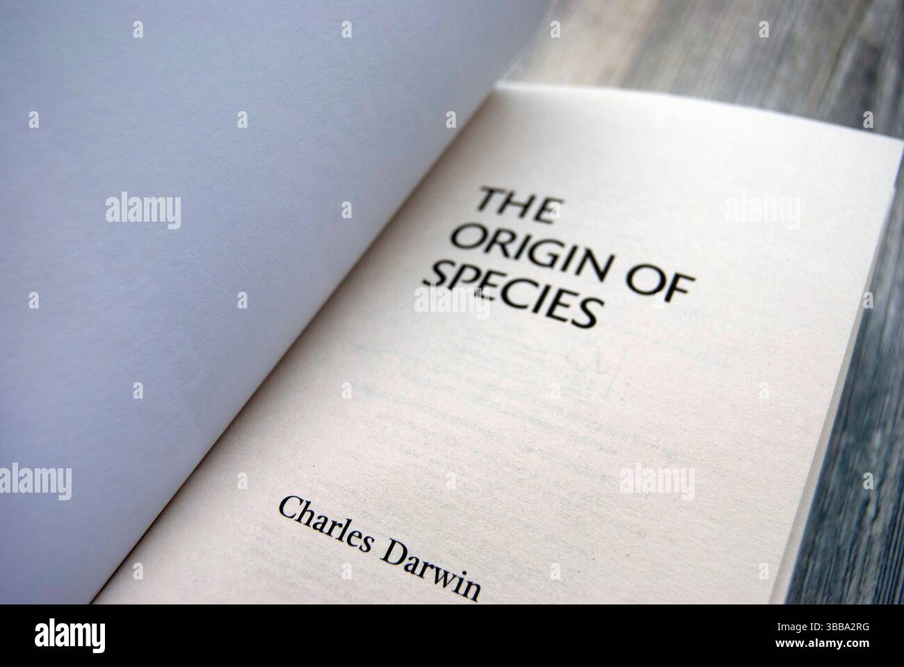 Livre de Charles Darwin 'L'origine des espèces' sur une surface en bois. Kiev, Ukraine - 12 -13 -2024. Banque D'Images