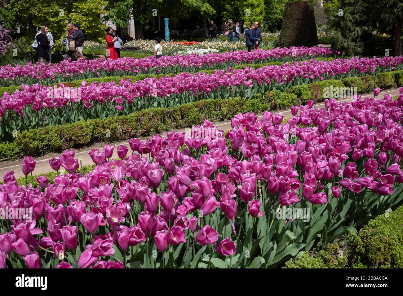 Real Jardín Botánico de Madrid, qui abrite plus de 5000 types de fleurs différents, situé à côté du Musée du Prado dans le centre de Madrid, Espagne, Europe Banque D'Images