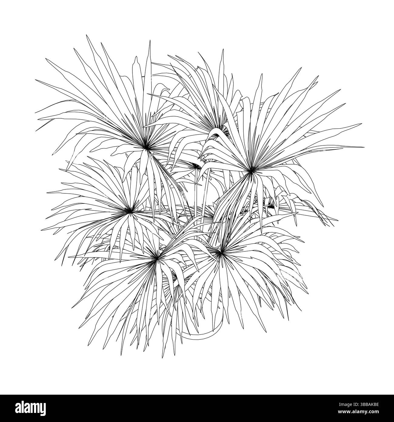 Un dessin d'un palmier avec quelques feuilles. Le dessin est en noir et blanc. Le palmier est le point central du dessin, et c'est une petite plante Illustration de Vecteur