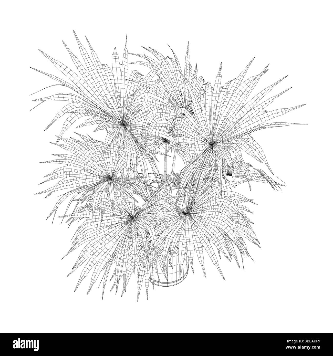 Un dessin d'une plante avec un fond noir. Le dessin est d'une plante avec beaucoup de feuilles et quelques fleurs Illustration de Vecteur
