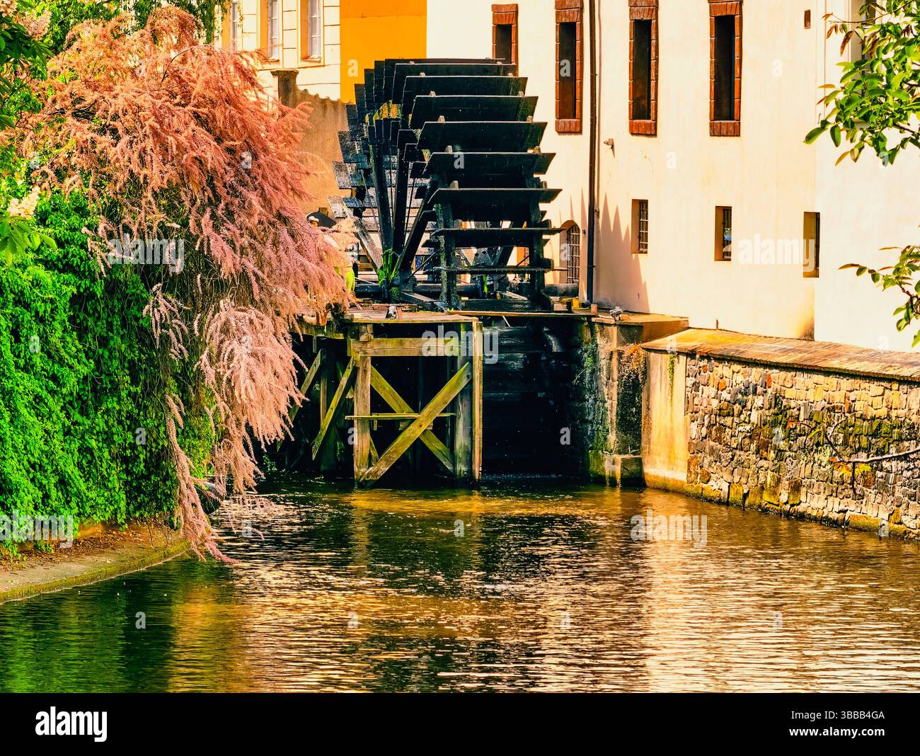 Moulin à eau historique avec une grande roue à eau sur une rivière calme, entouré d'une végétation luxuriante et d'une architecture rustique, créant une scène pittoresque et charmante, parfaite pour les passionnés d'histoire et de nature Banque D'Images