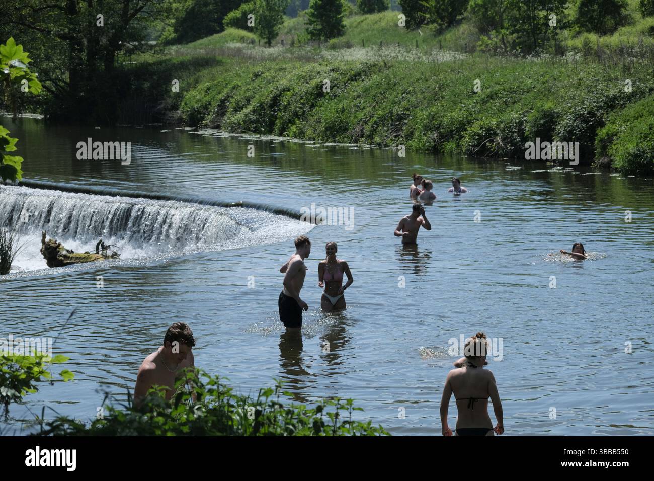 Bath, Royaume-Uni. 15 mai 2025. Journée ensoleillée pour la baignade sauvage au populaire Warleigh Weir près de Bath. Crédit : JMF News/Alamy Live News Banque D'Images