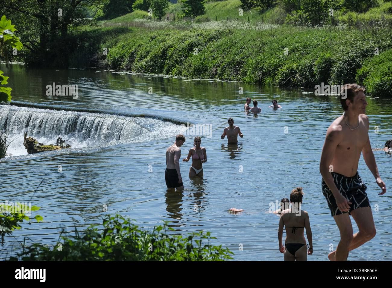 Bath, Royaume-Uni. 15 mai 2025. Journée ensoleillée pour la baignade sauvage au populaire Warleigh Weir près de Bath. Crédit : JMF News/Alamy Live News Banque D'Images