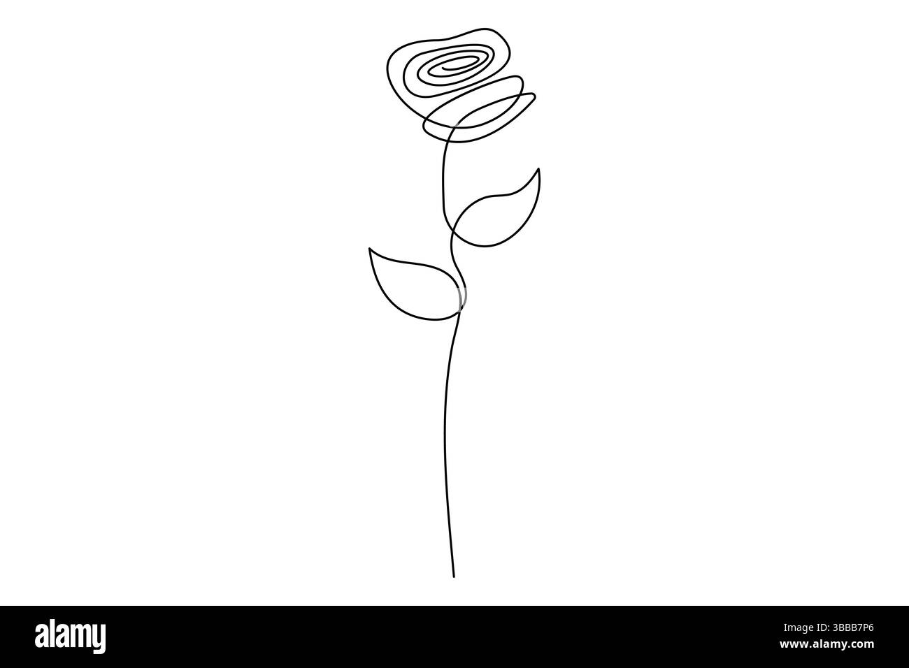 Fleur de rose continue dessin d'une ligne de fleur de rose isolé illustration vectorielle de contour design minimaliste Illustration de Vecteur