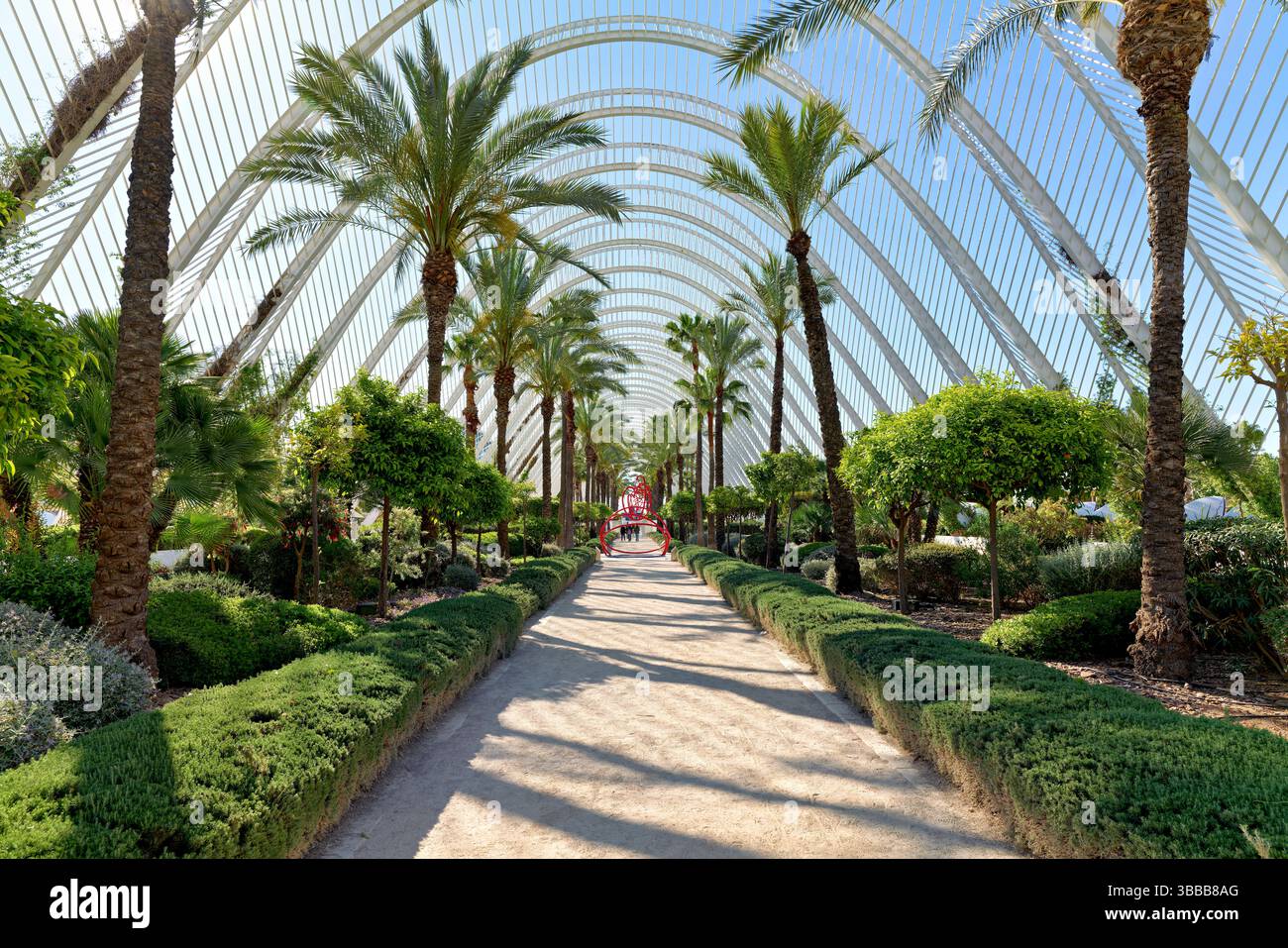 Valencia Espagne. La Cité des Arts et des Sciences. Umbracle. Une promenade paysagée avec des espèces de plantes indigènes de Valence - date : 21 - 04 - 2025 Banque D'Images